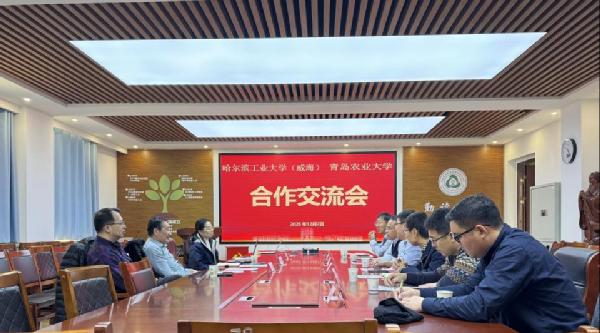 哈尔滨工业大学（威海）原副校长马家辰一行到英国365上市公司开展交流座谈